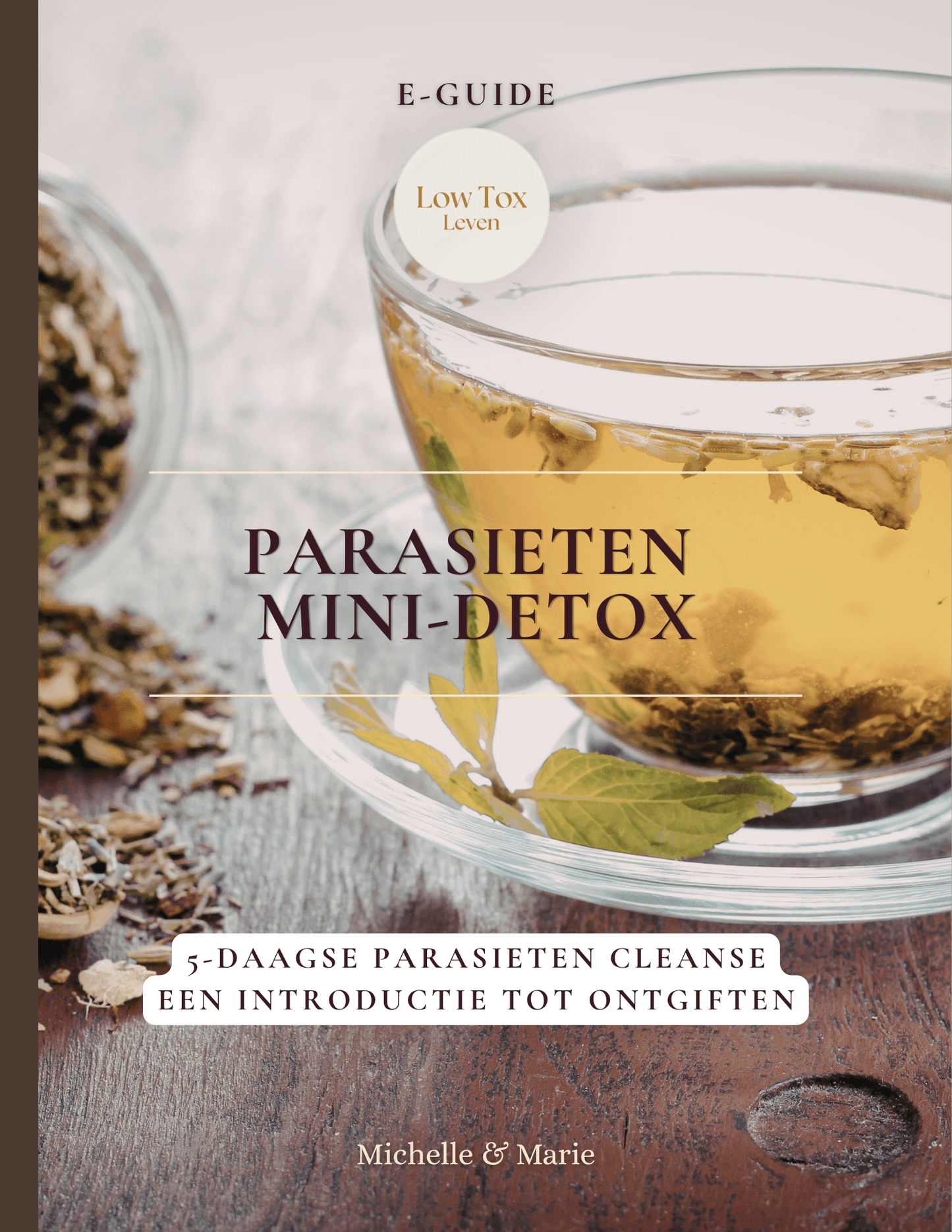 eguide Parasieten mini-detox